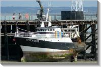 Cancale (2009-08-20) Cancale &agrave; mar&eacute;e basse